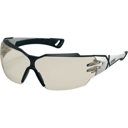 Schutzbrille pheos cx2, supravision excellence | Schutzbrillen